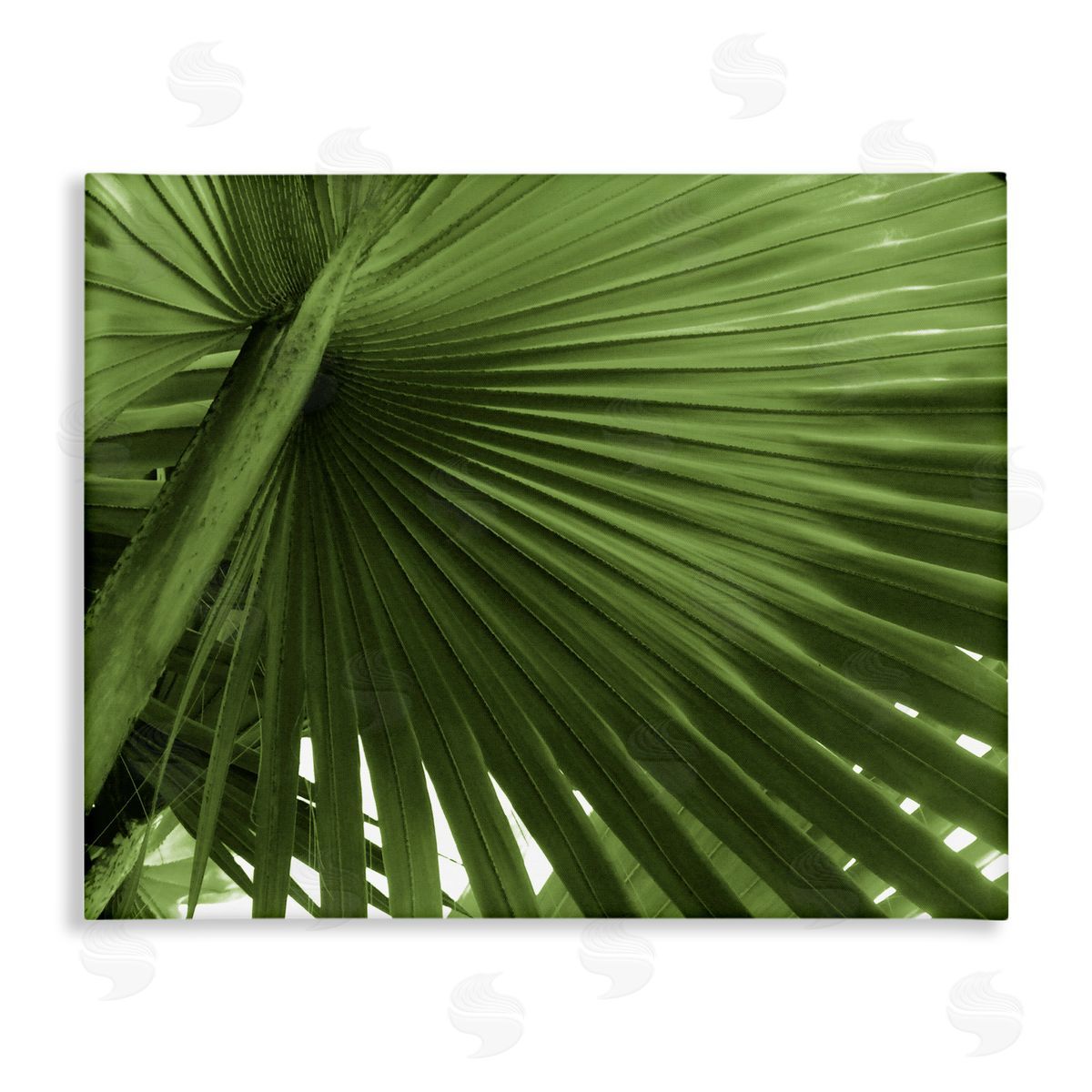 Graffitee Studios Close Up Palm Leaf Lush Green Tropical Plant Stretched Canvas Wall Art Print