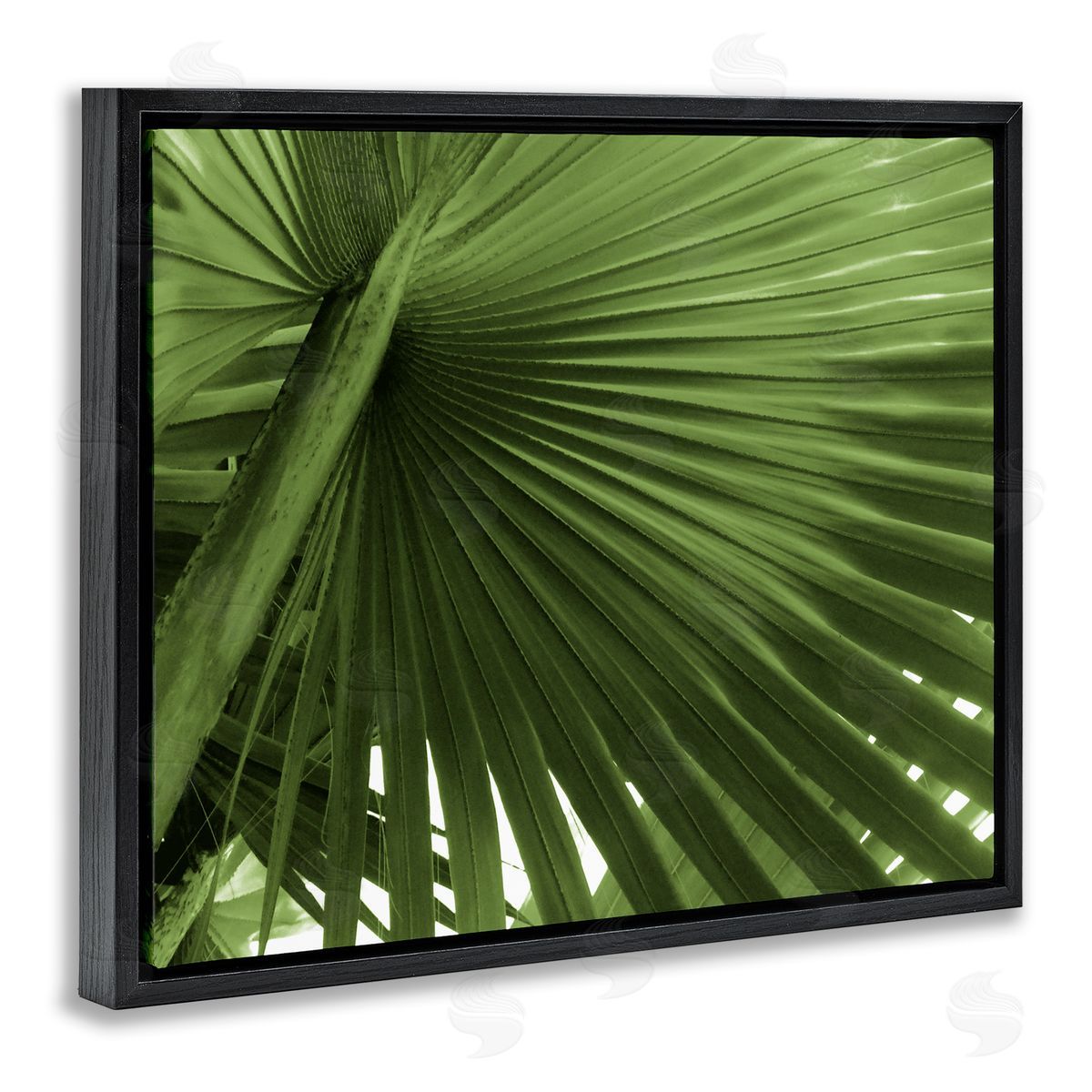 Graffitee Studios Close Up Palm Leaf Lush Green Tropical Plant Black Floating Frame Canvas Wall Art Print