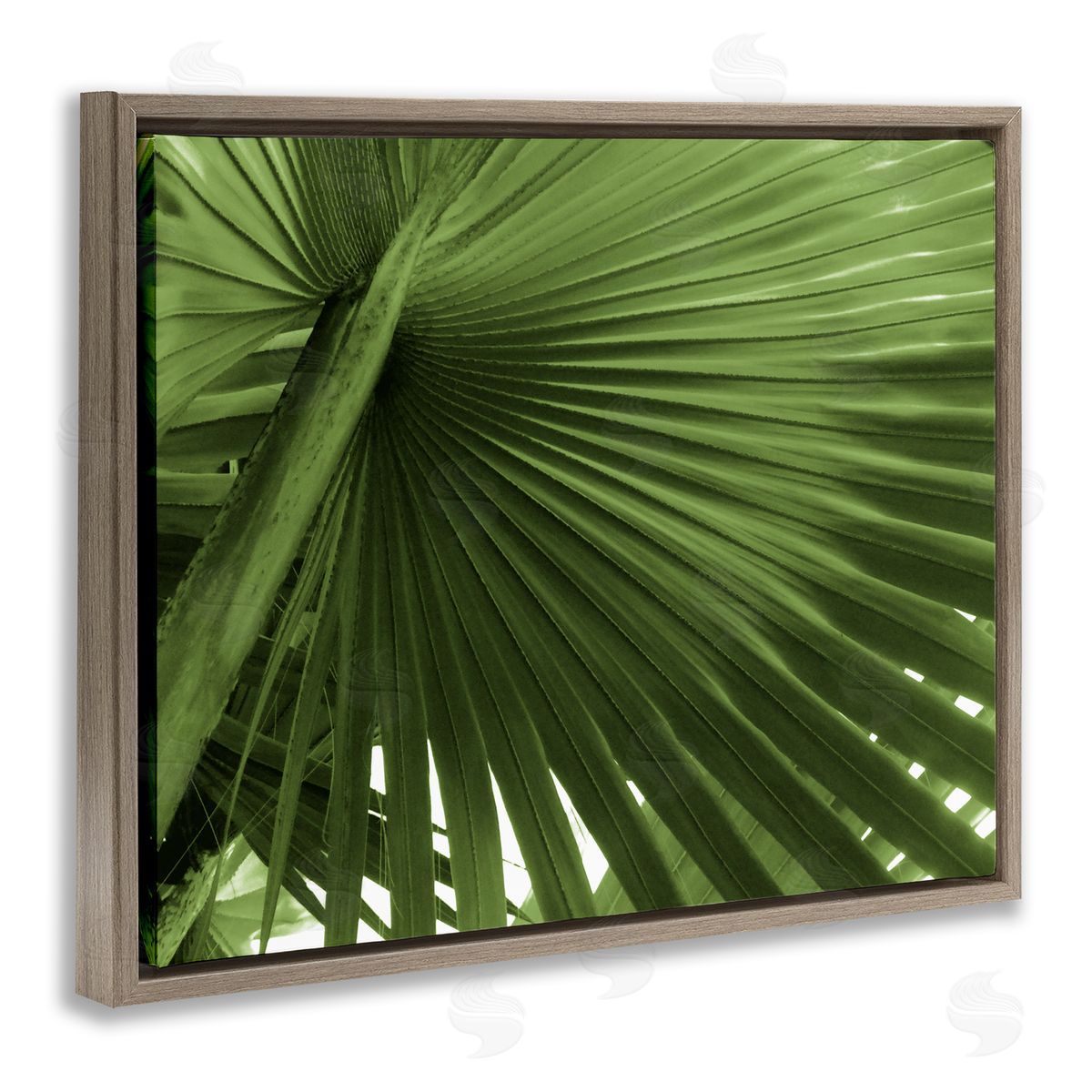 Graffitee Studios Close Up Palm Leaf Lush Green Tropical Plant Brown Floating Frame Canvas Wall Art Print