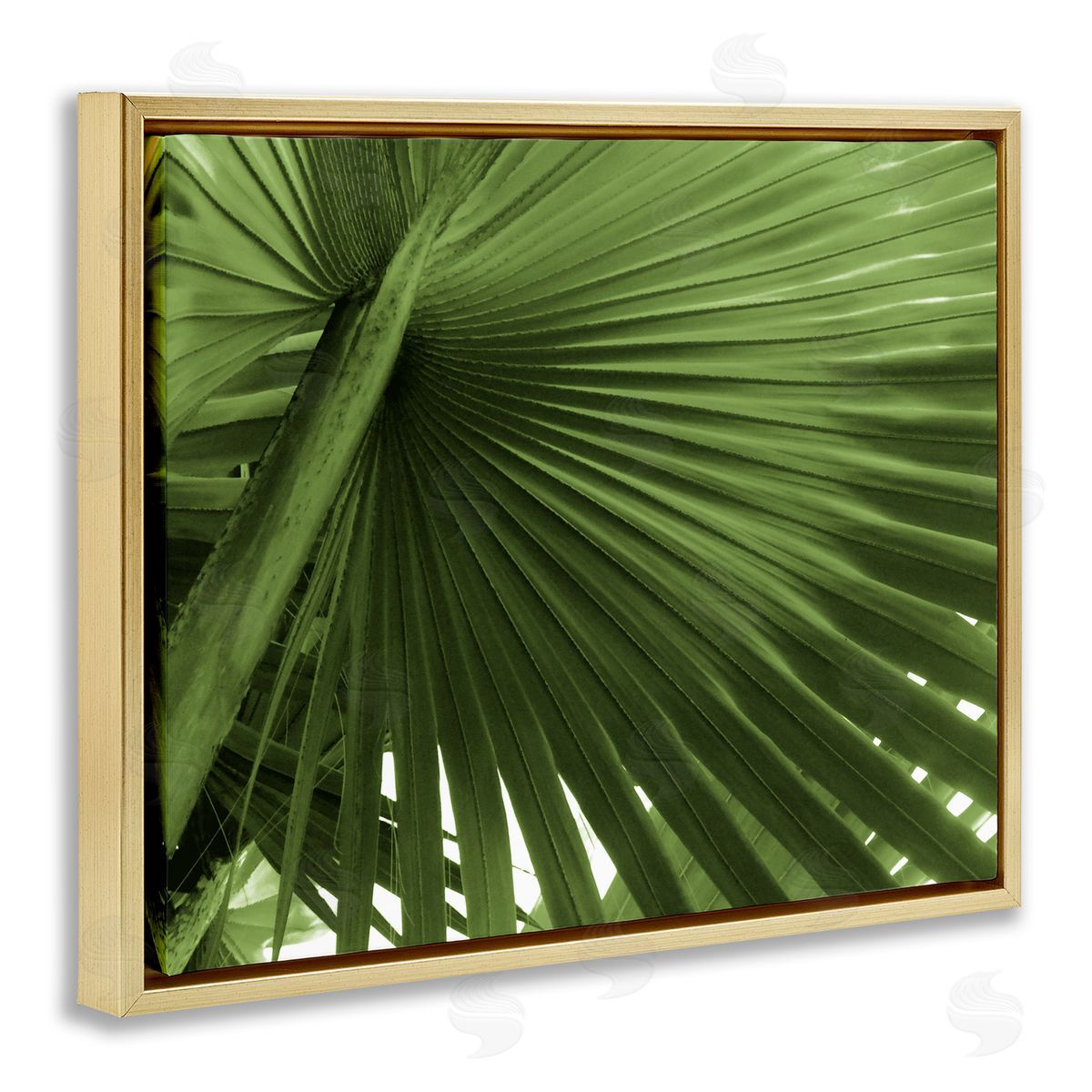 Graffitee Studios Close Up Palm Leaf Lush Green Tropical Plant Gold Floating Frame Canvas Wall Art Print