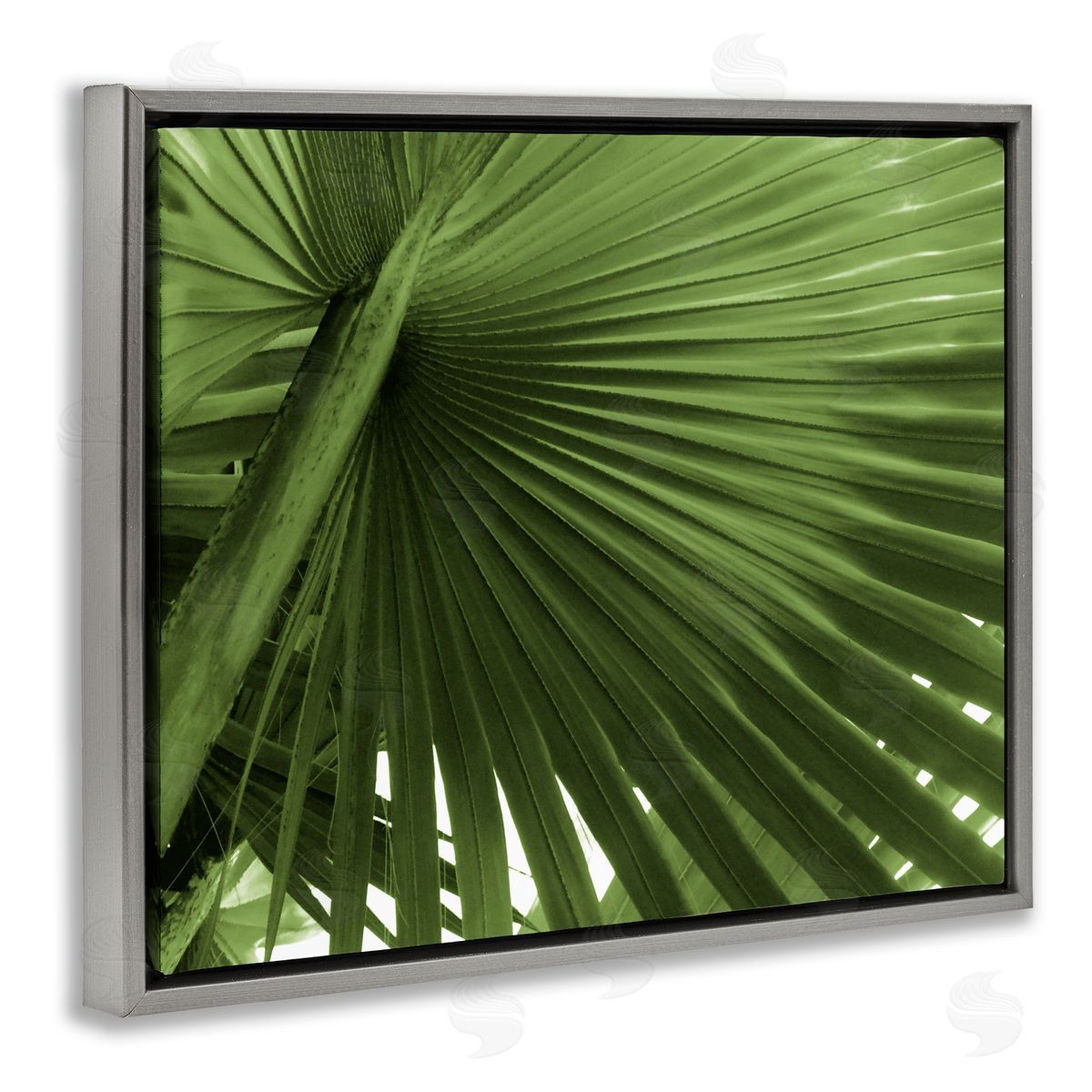 Graffitee Studios Close Up Palm Leaf Lush Green Tropical Plant Gray Floating Frame Canvas Wall Art Print