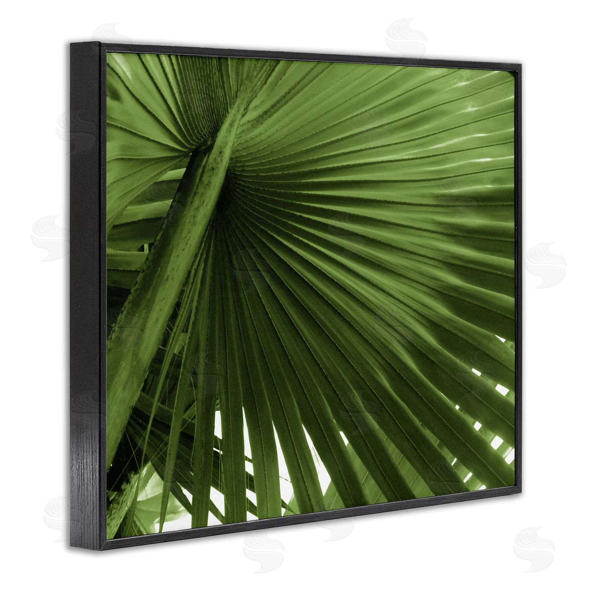 Graffitee Studios Close Up Palm Leaf Lush Green Tropical Plant Black Framed Giclee Wall Art Print