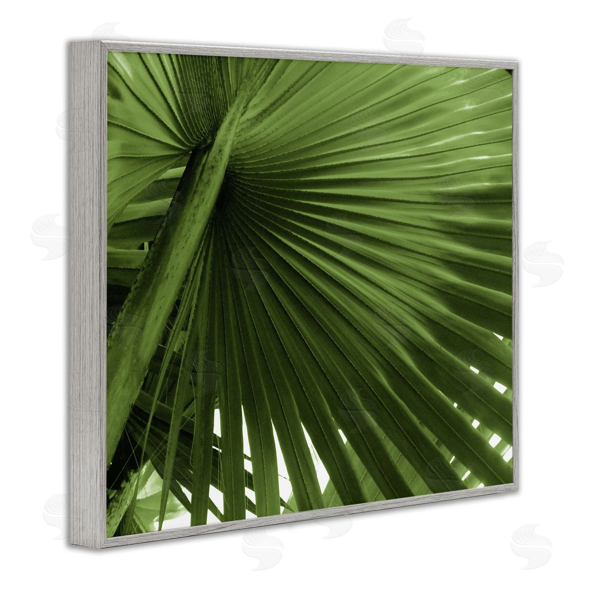 Graffitee Studios Close Up Palm Leaf Lush Green Tropical Plant Gray Framed Giclee Wall Art Print