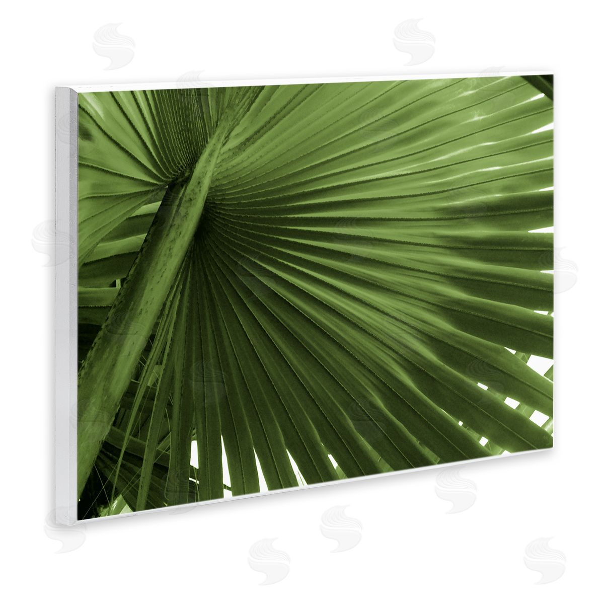 Graffitee Studios Close Up Palm Leaf Lush Green Tropical Plant Wall Plaque Art Print