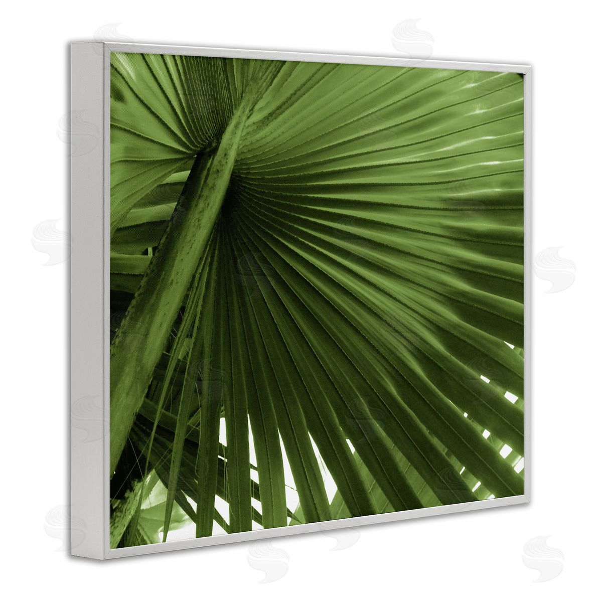 Graffitee Studios Close Up Palm Leaf Lush Green Tropical Plant White Framed Giclee Wall Art Print
