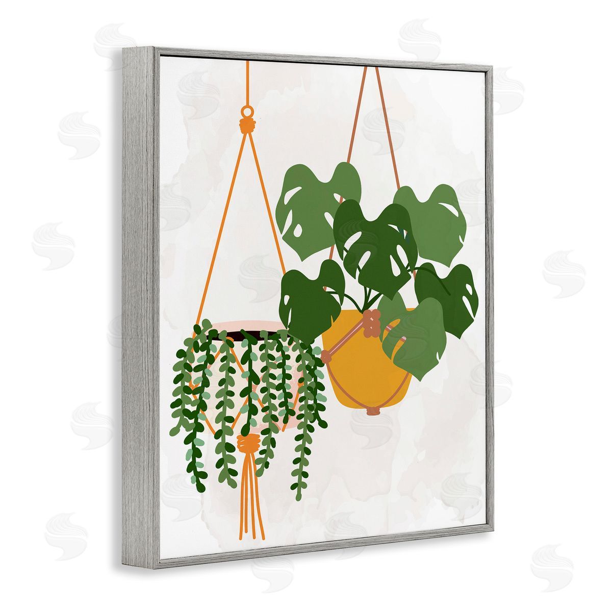 Kim Allen Casual Hanging House Plants Botanical Monstera Leaves Gray Framed Giclee Wall Art Print