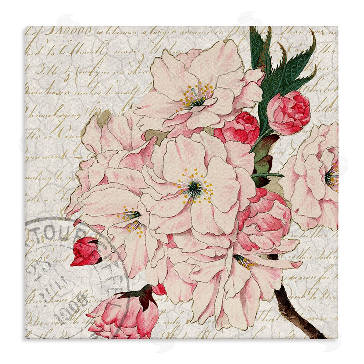 Kim Allen Vintage Pink Floral Arrangement Ornate Script Stamp Stretched Canvas Wall Art Print