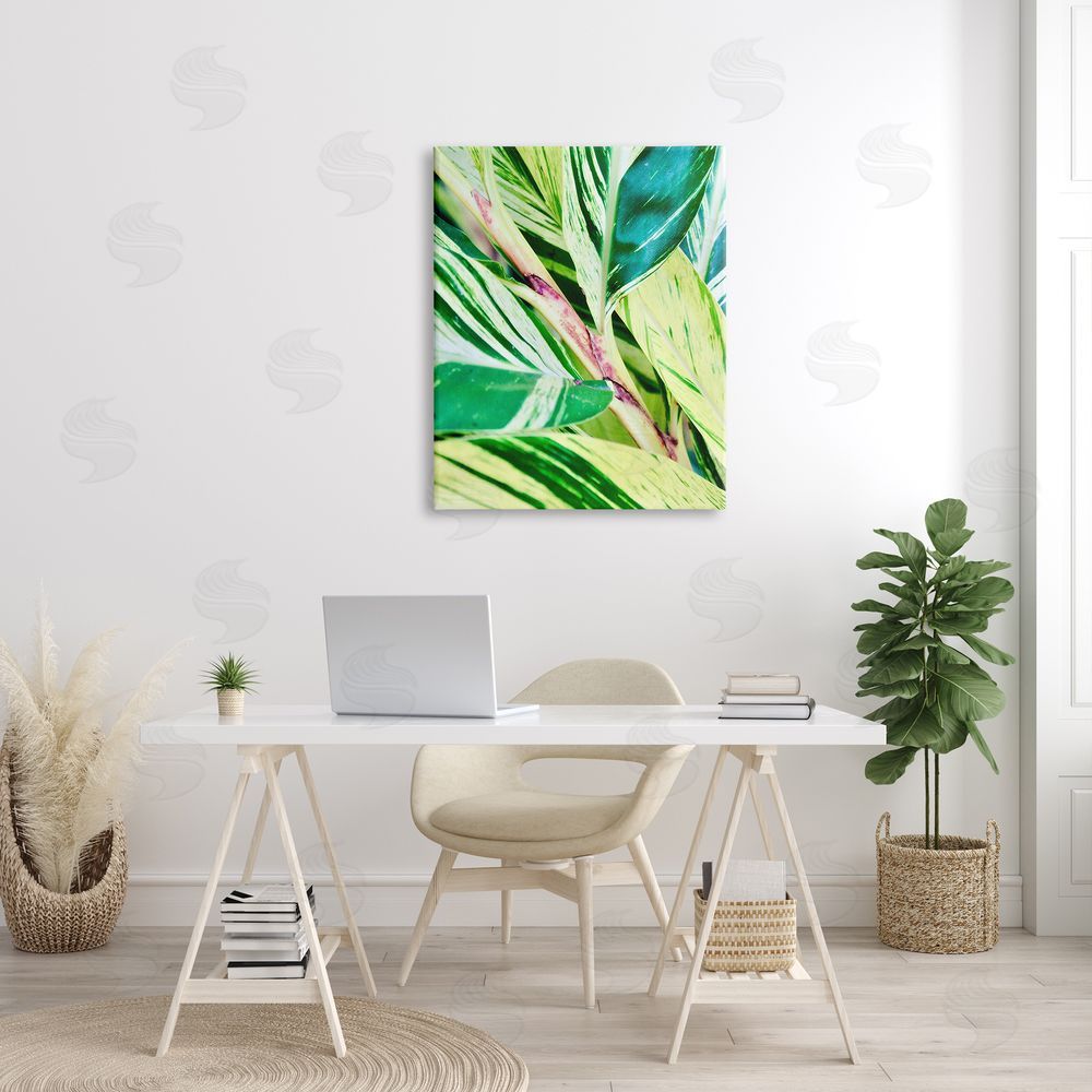 Gail Peck Tropical House Plant Leaves Close Up Photography  Canvas Wall Art Print in Room