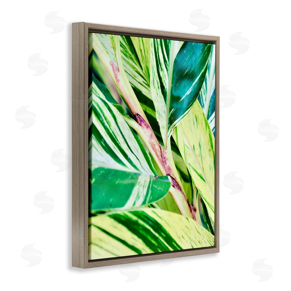 Gail Peck Tropical House Plant Leaves Close Up Photography  Brown Floating Frame Canvas Wall Art Print