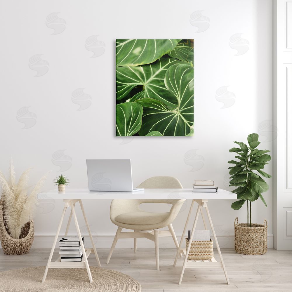Gail Peck Lush Green Leaves Vegetation Tropical Plant Photography Canvas Wall Art Print in Room