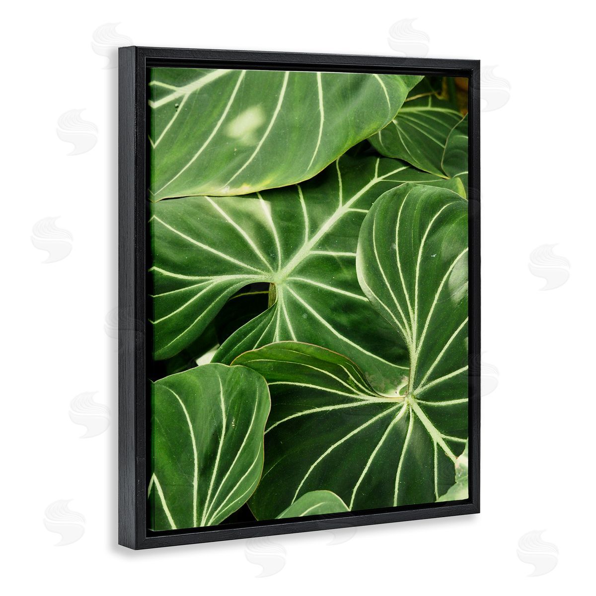 Gail Peck Lush Green Leaves Vegetation Tropical Plant Photography Black Floating Frame Canvas Wall Art Print