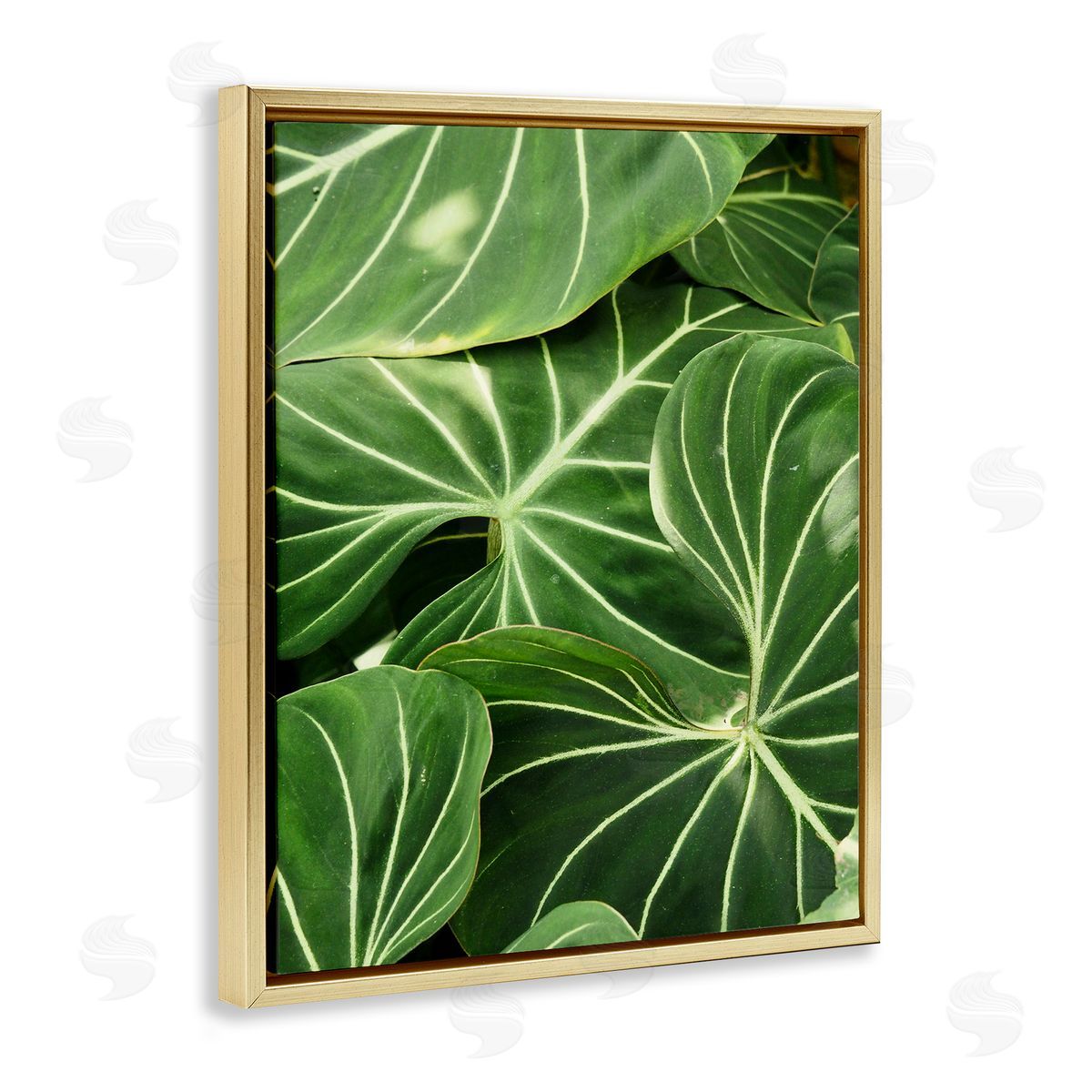 Gail Peck Lush Green Leaves Vegetation Tropical Plant Photography Gold Floating Frame Canvas Wall Art Print