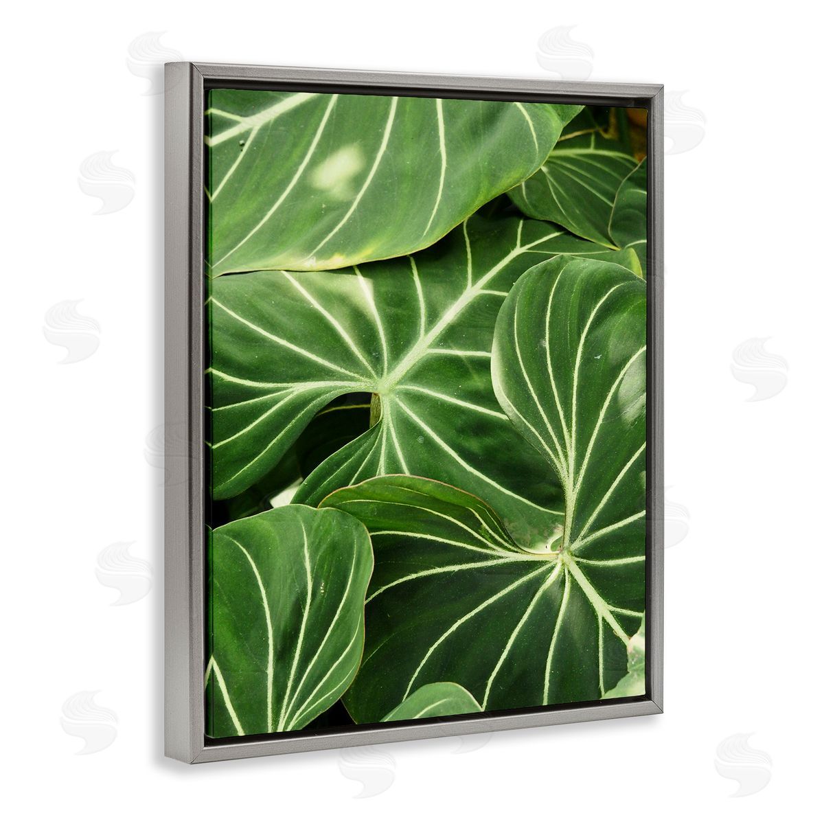 Gail Peck Lush Green Leaves Vegetation Tropical Plant Photography Gray Floating Frame Canvas Wall Art Print