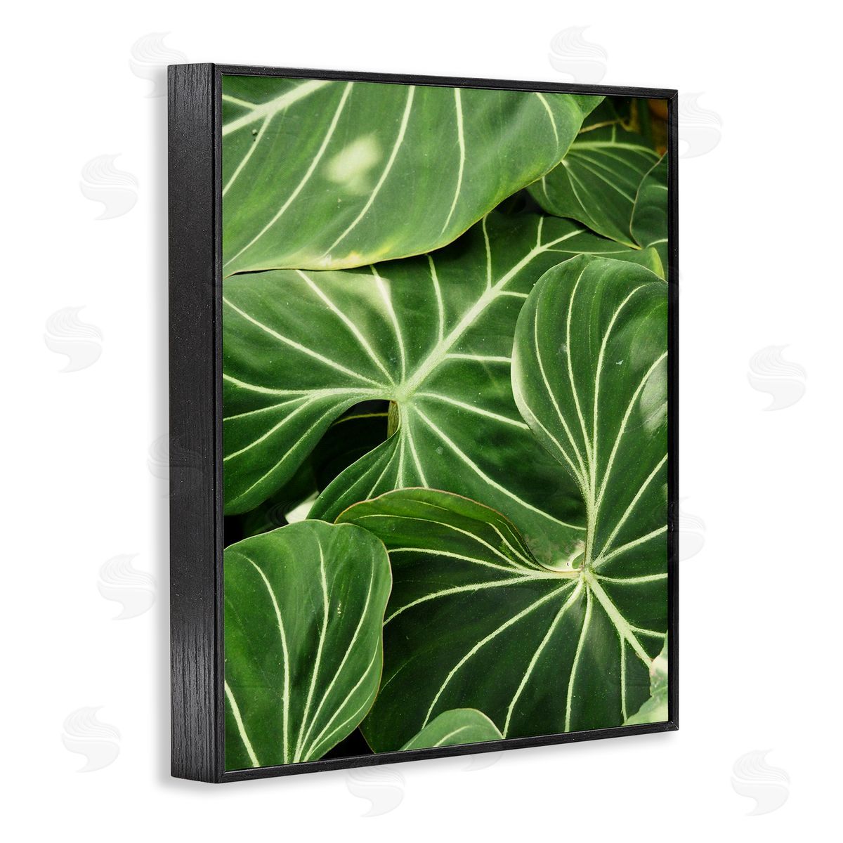 Gail Peck Lush Green Leaves Vegetation Tropical Plant Photography Black Framed Giclee Wall Art Print