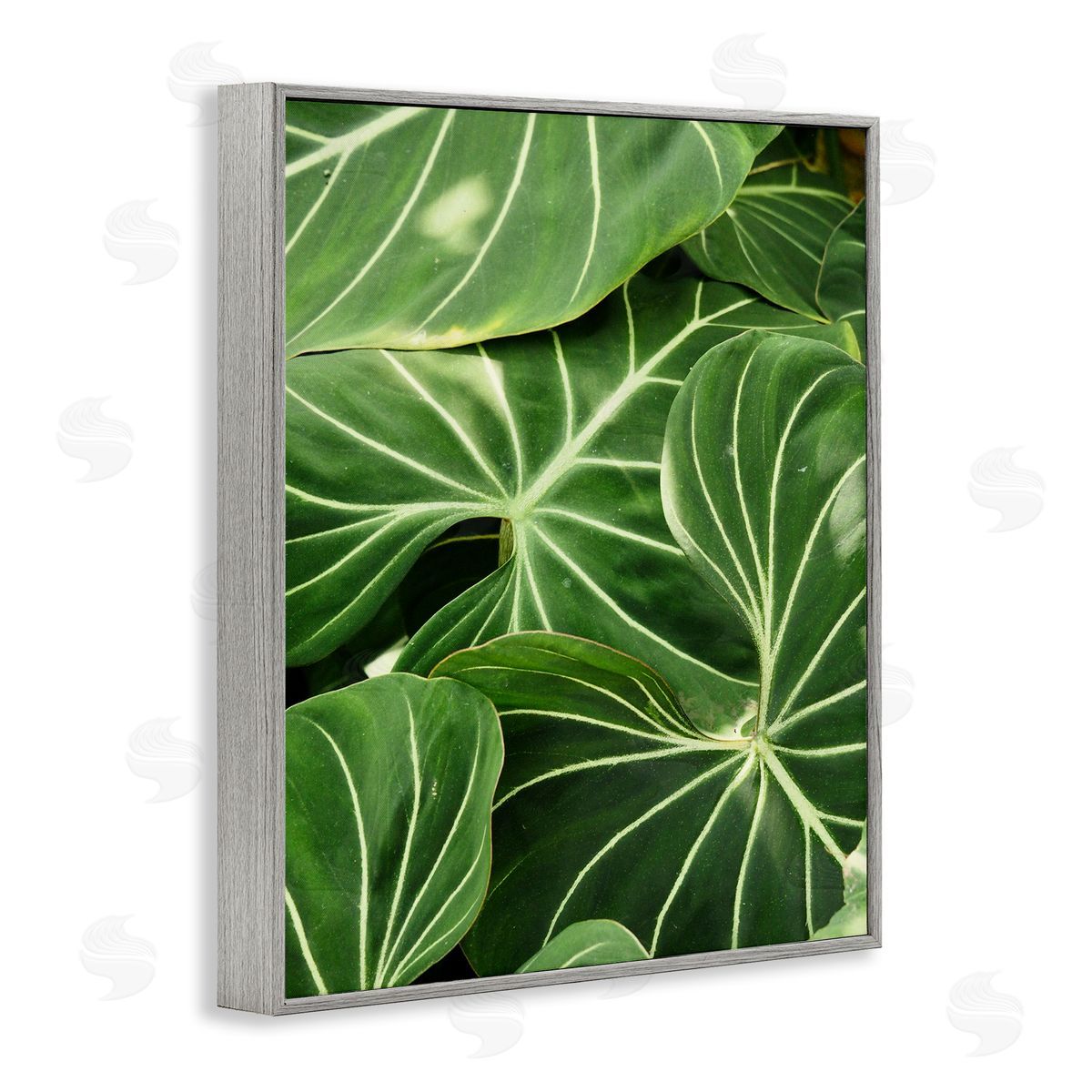 Gail Peck Lush Green Leaves Vegetation Tropical Plant Photography Gray Framed Giclee Wall Art Print