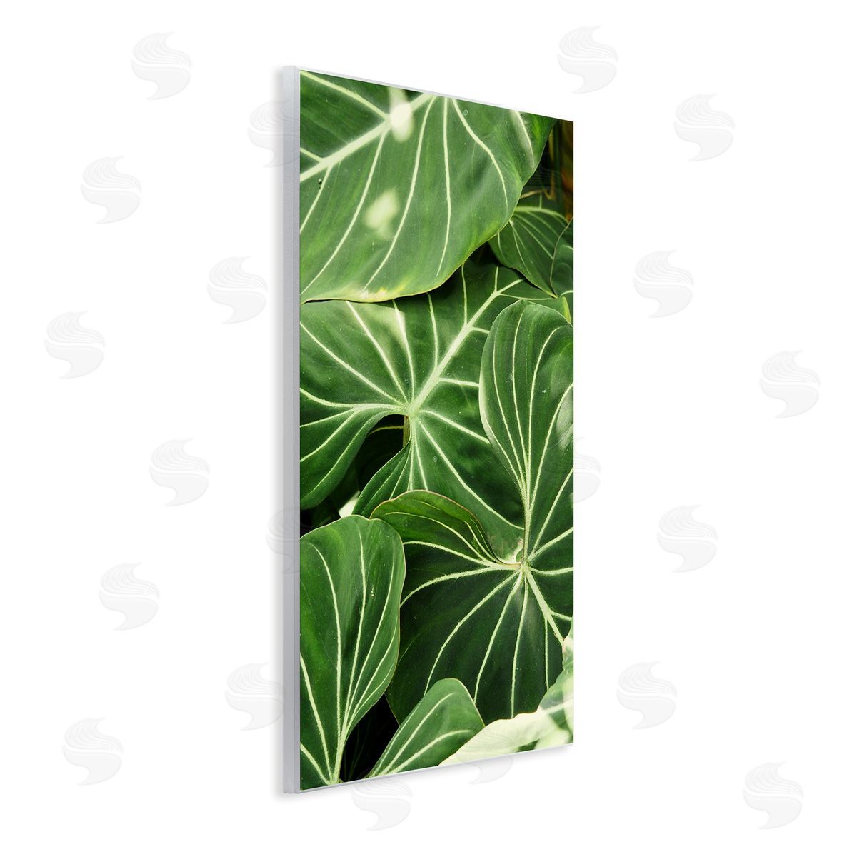 Gail Peck Lush Green Leaves Vegetation Tropical Plant Photography Wall Plaque Art Print