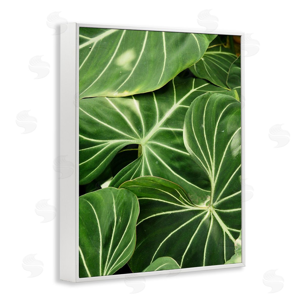 Gail Peck Lush Green Leaves Vegetation Tropical Plant Photography White Framed Giclee Wall Art Print