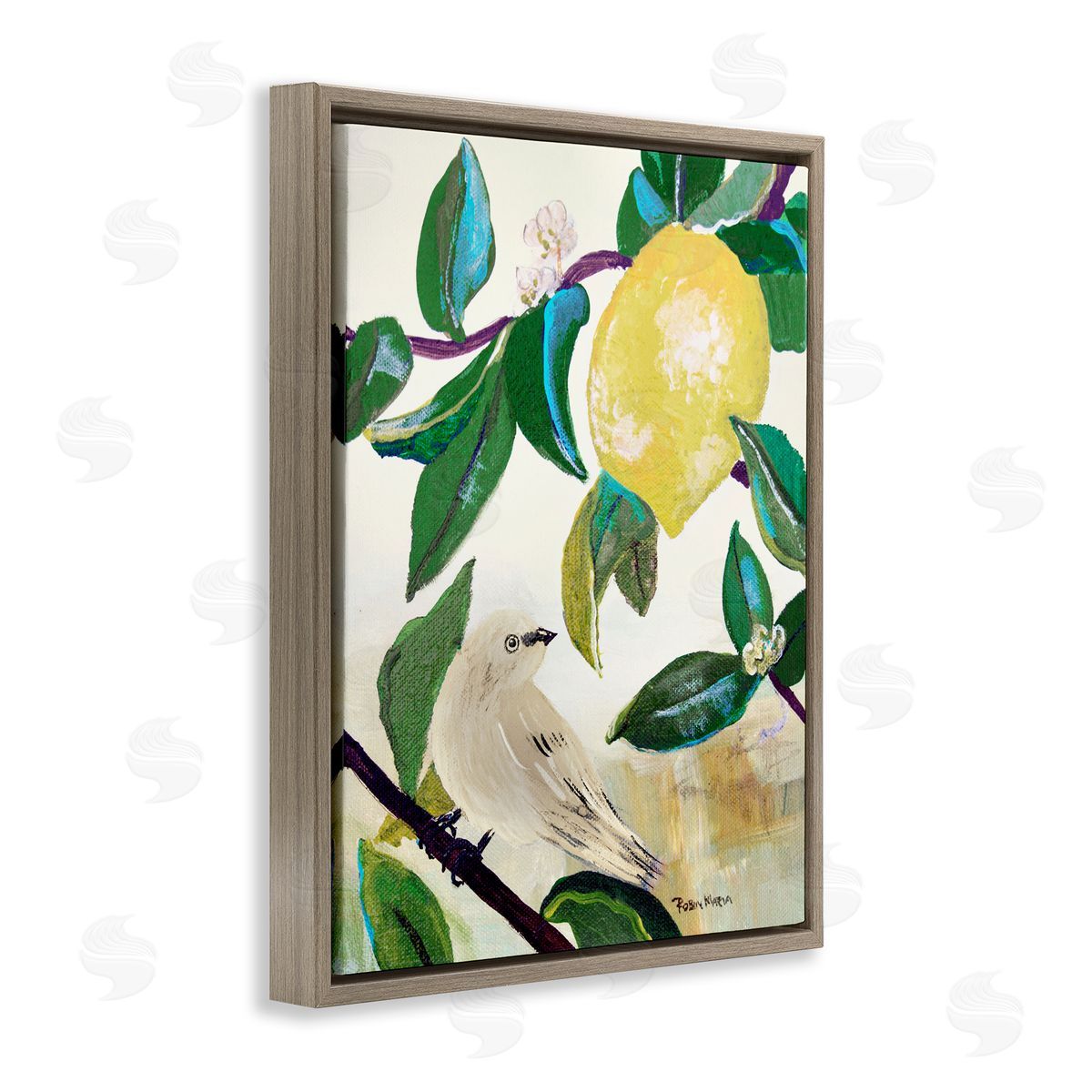 Robin Maria Vivid Yellow Lemon Citrus Fruit Bird Perched Brown Floating Frame Canvas Wall Art Print