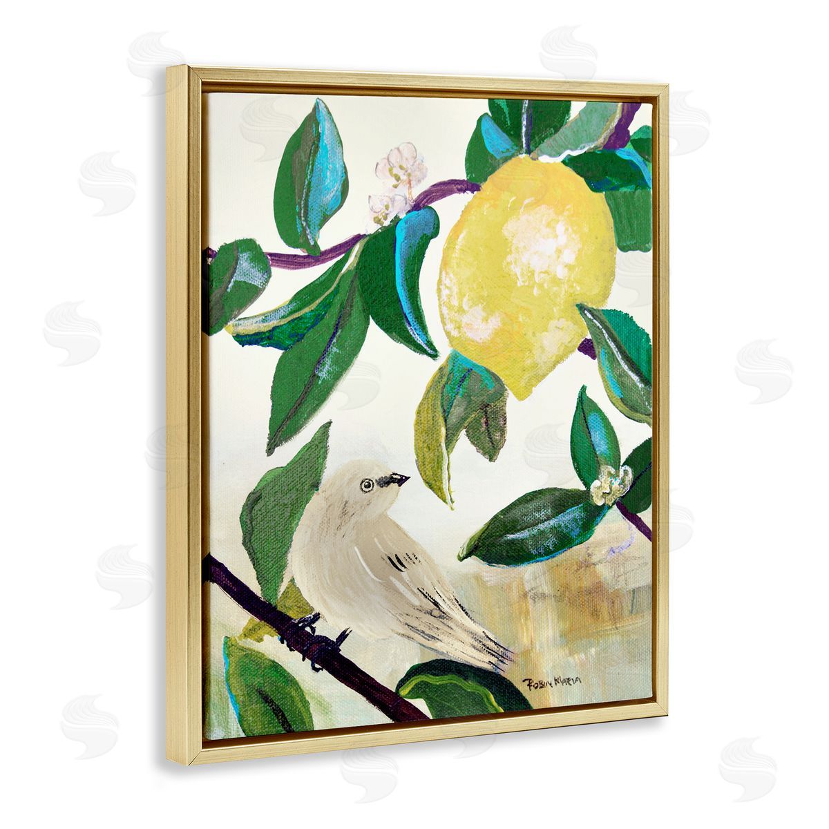Robin Maria Vivid Yellow Lemon Citrus Fruit Bird Perched Gold Floating Frame Canvas Wall Art Print