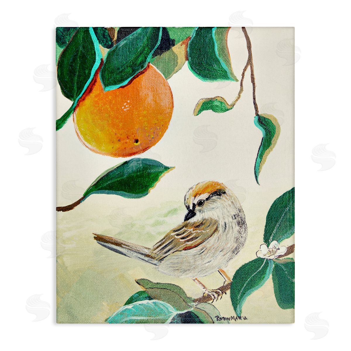 Robin Maria Bird Perched Orange Fruit Tree Branch Leaves Stretched Canvas Wall Art Print