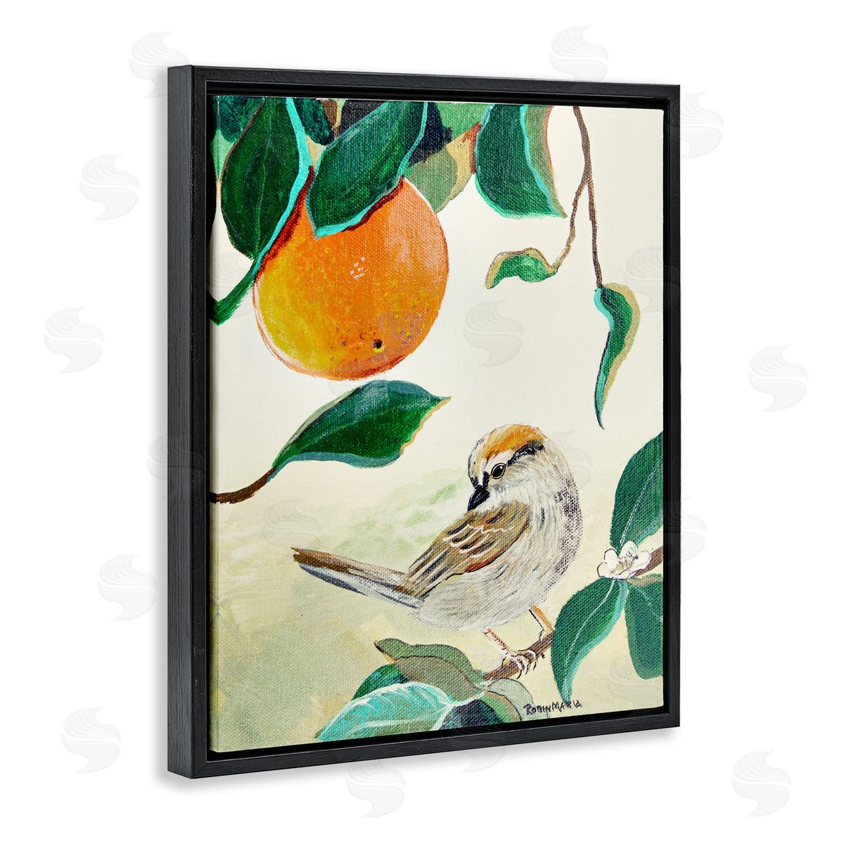 Robin Maria Bird Perched Orange Fruit Tree Branch Leaves Black Floating Frame Canvas Wall Art Print