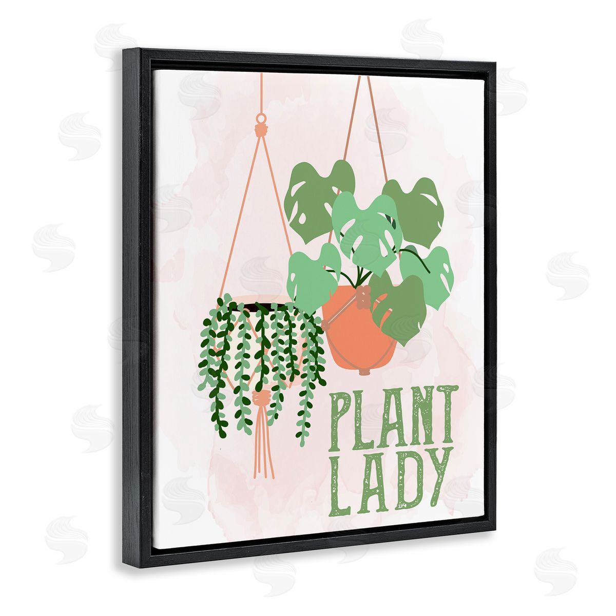Kim Allen Casual Plant Lady Hanging Green Potted Vegetation  Black Floating Frame Canvas Wall Art Print