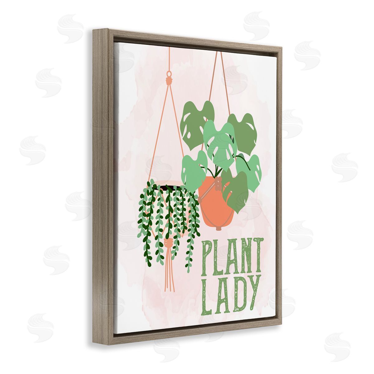 Kim Allen Casual Plant Lady Hanging Green Potted Vegetation  Brown Floating Frame Canvas Wall Art Print