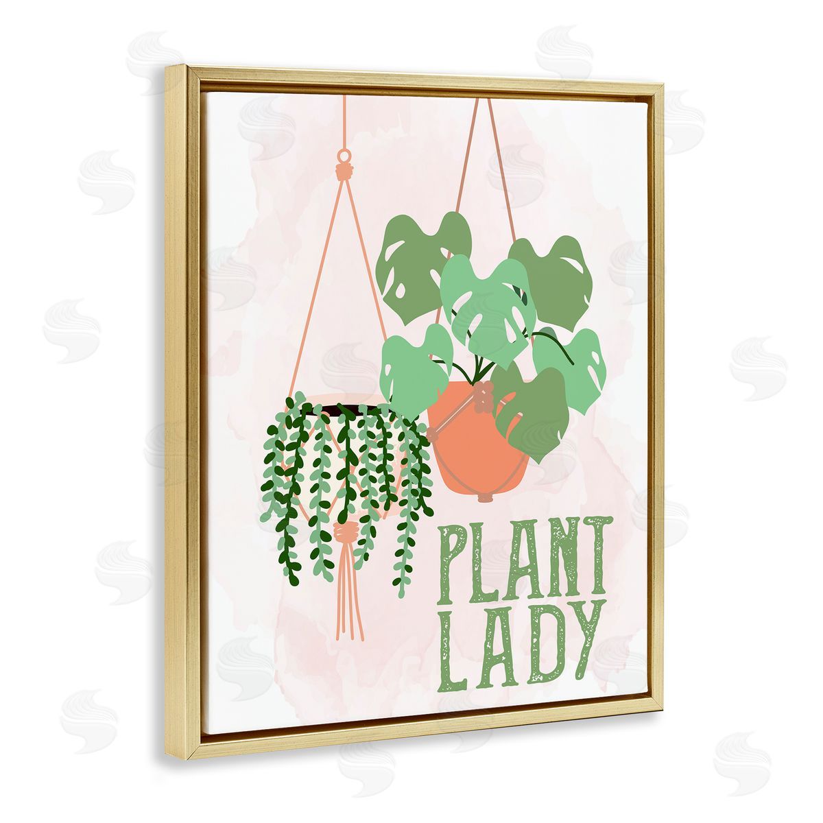 Kim Allen Casual Plant Lady Hanging Green Potted Vegetation  Gold Floating Frame Canvas Wall Art Print