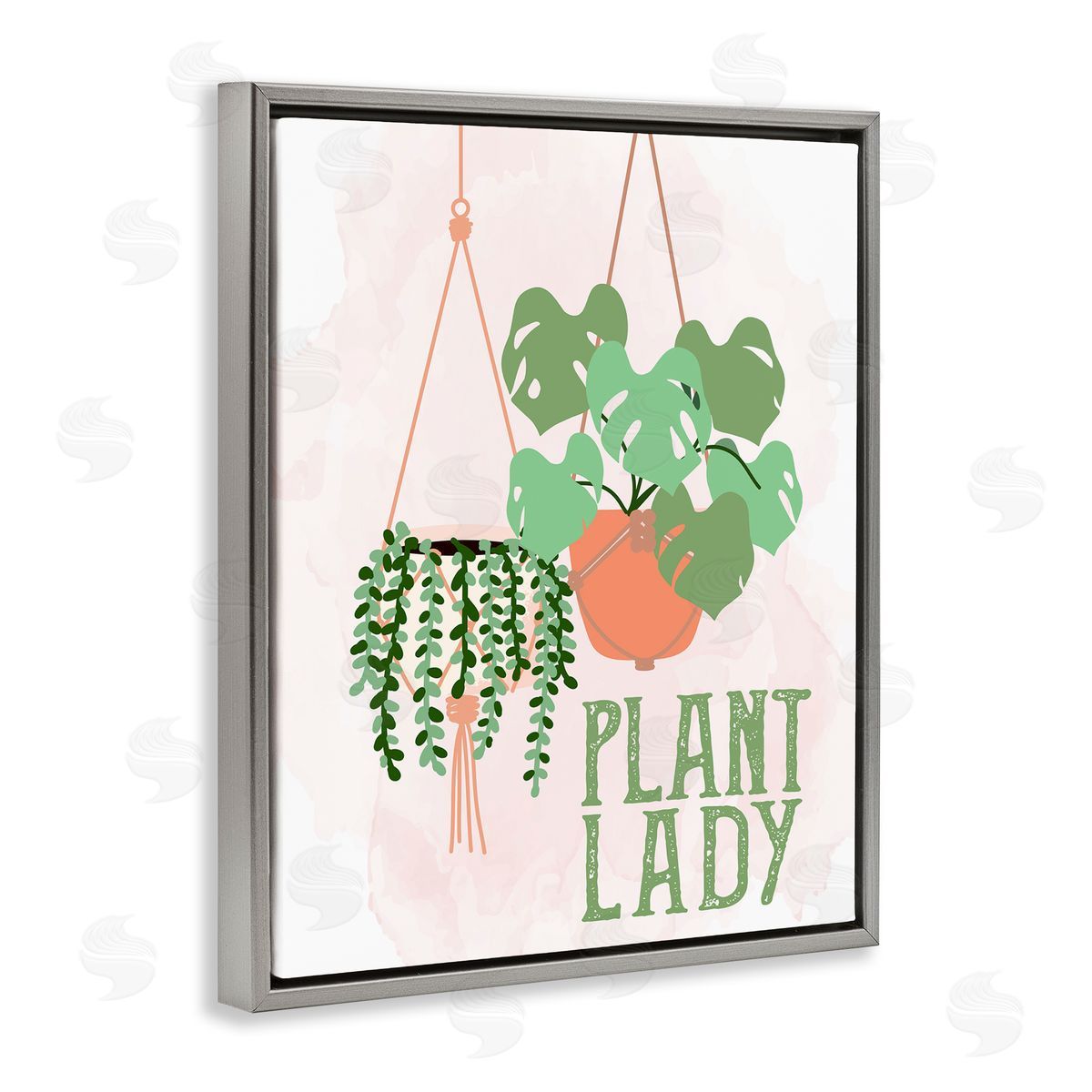 Kim Allen Casual Plant Lady Hanging Green Potted Vegetation  Gray Floating Frame Canvas Wall Art Print