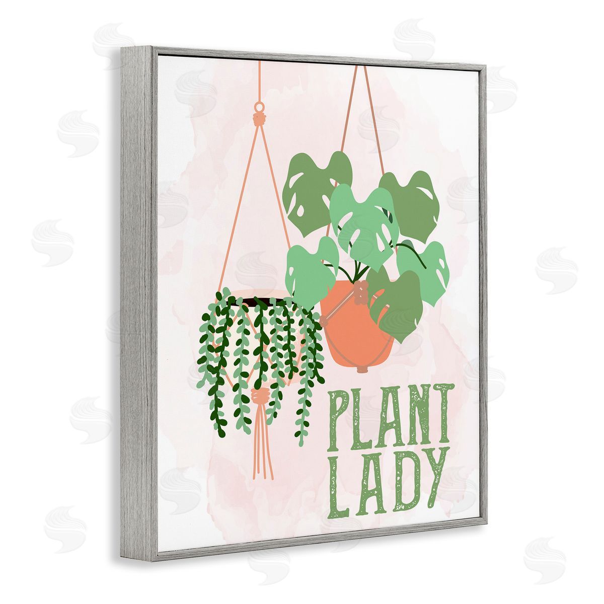 Kim Allen Casual Plant Lady Hanging Green Potted Vegetation  Gray Framed Giclee Wall Art Print