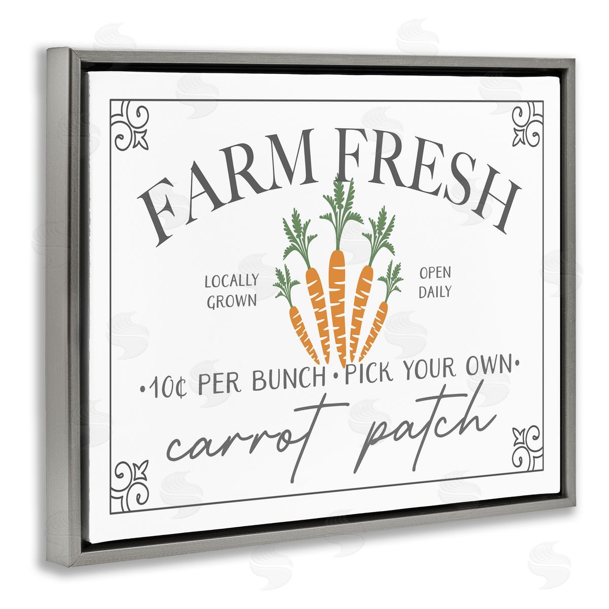 JJ House LLC Farm Fresh Carrot Patch Seasonal Springtime Vegetables Gray Floating Frame Canvas Wall Art Print