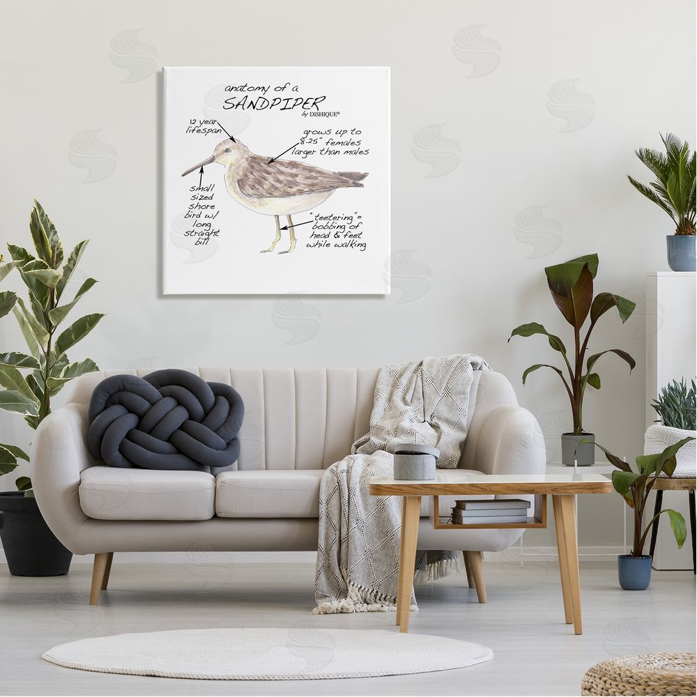 Dishique Sandpiper Beach Bird Wildlife Learning Facts Chart  Canvas Wall Art in Room
