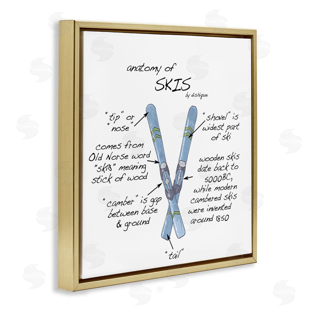 Dishique Anatomy of Skis Winter Sports Diagram Facts Chart  Gold Floating Frame Canvas Wall Art Print
