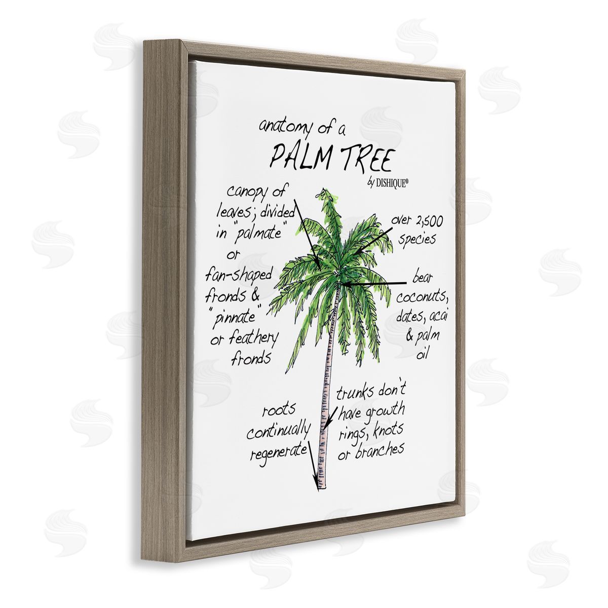 Dishique Tropical Palm Tree Educational Plants Flora Diagram  Brown Floating Frame Canvas Wall Art Print