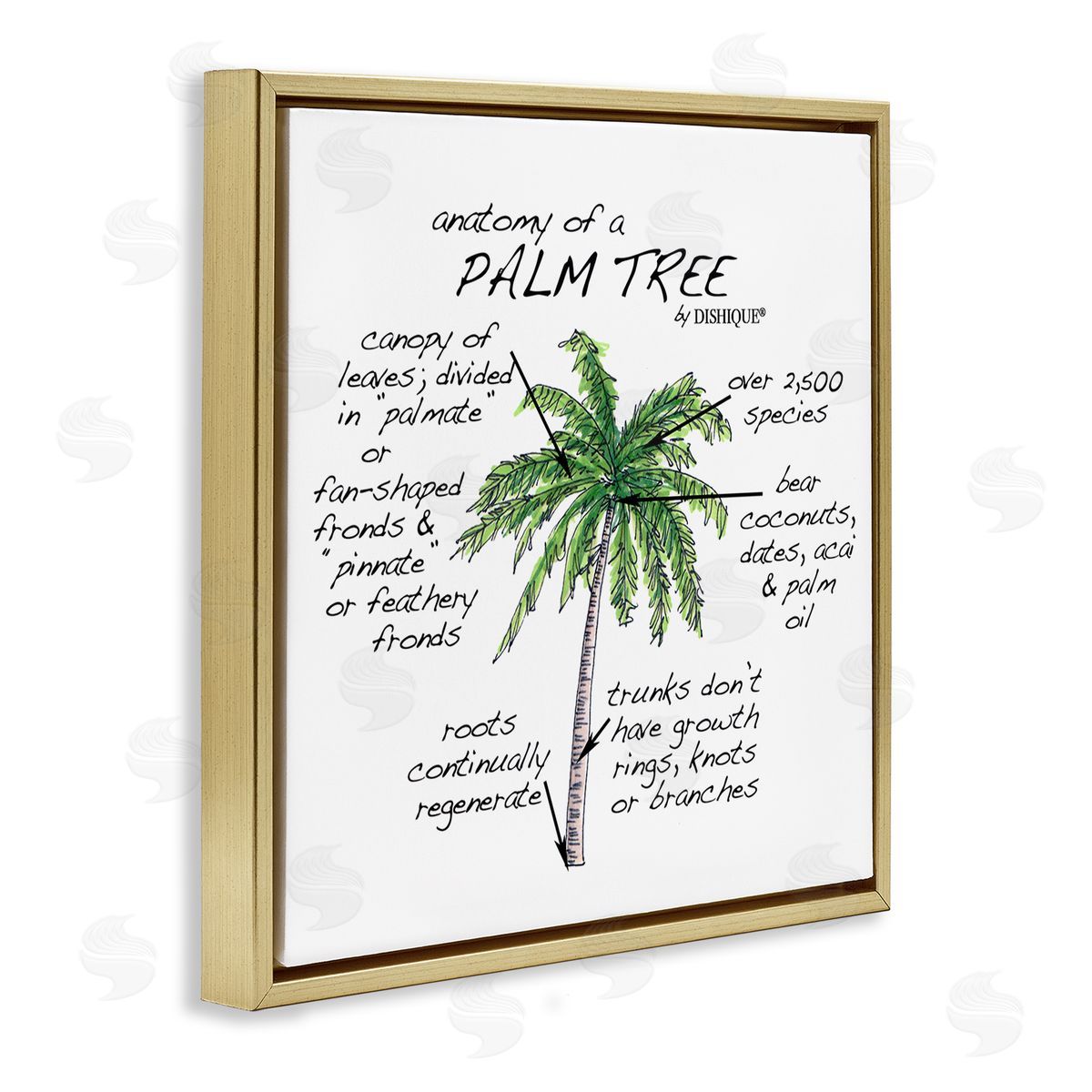 Dishique Tropical Palm Tree Educational Plants Flora Diagram  Gold Floating Frame Canvas Wall Art Print