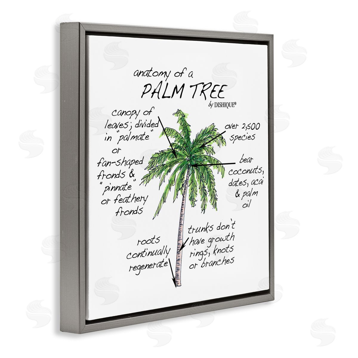 Dishique Tropical Palm Tree Educational Plants Flora Diagram  Gray Floating Frame Canvas Wall Art Print