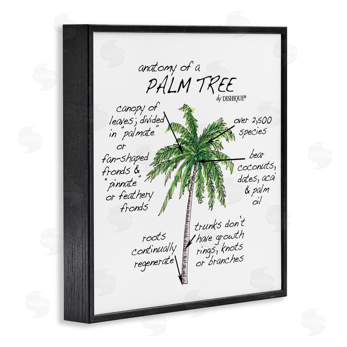 Dishique Tropical Palm Tree Educational Plants Flora Diagram  Black Framed Glicee Wall Art Print