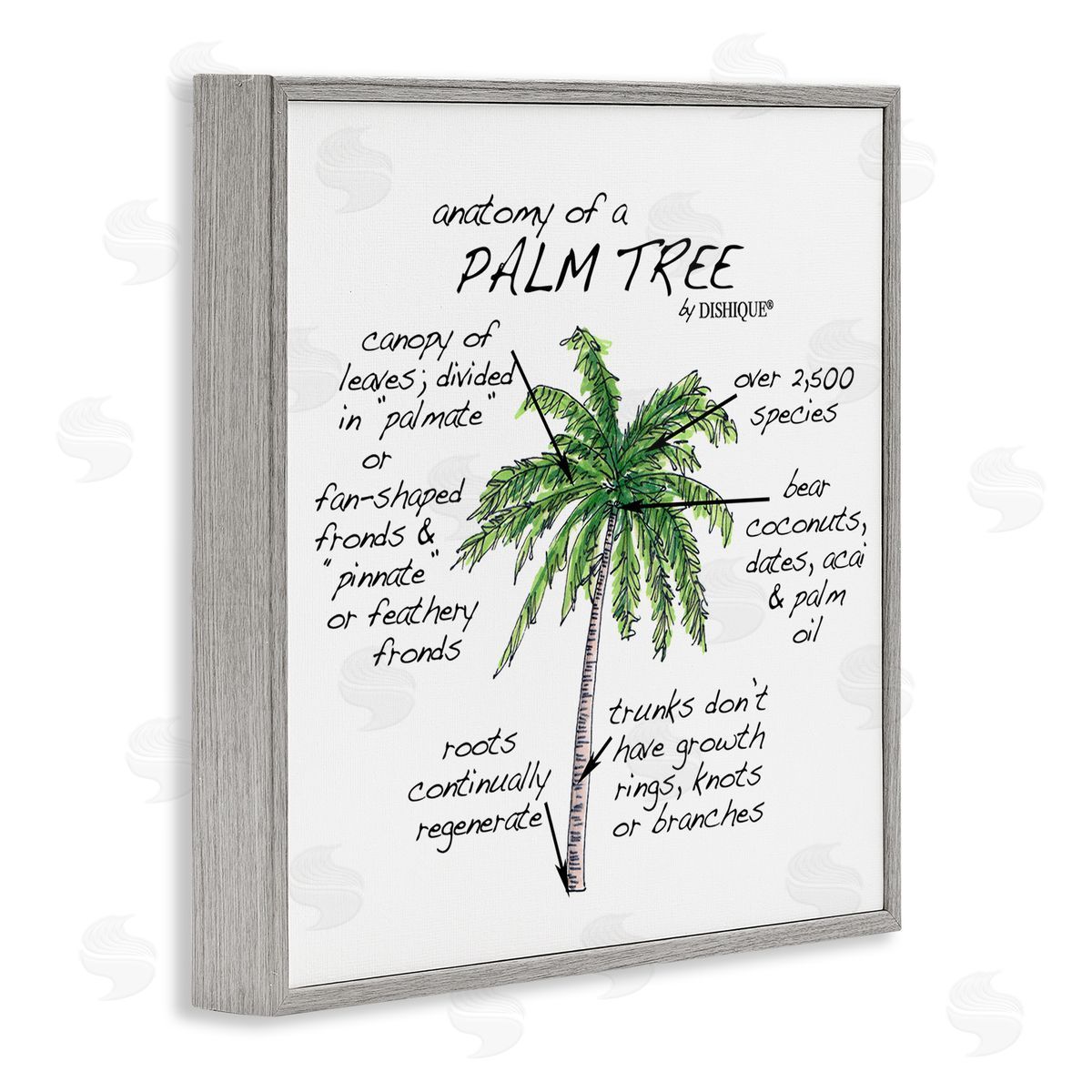 Dishique Tropical Palm Tree Educational Plants Flora Diagram  Gray Framed Glicee Wall Art Print