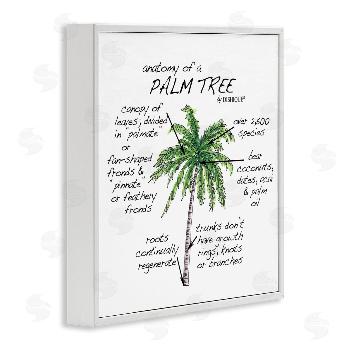 Dishique Tropical Palm Tree Educational Plants Flora Diagram  White Framed Glicee Wall Art Print