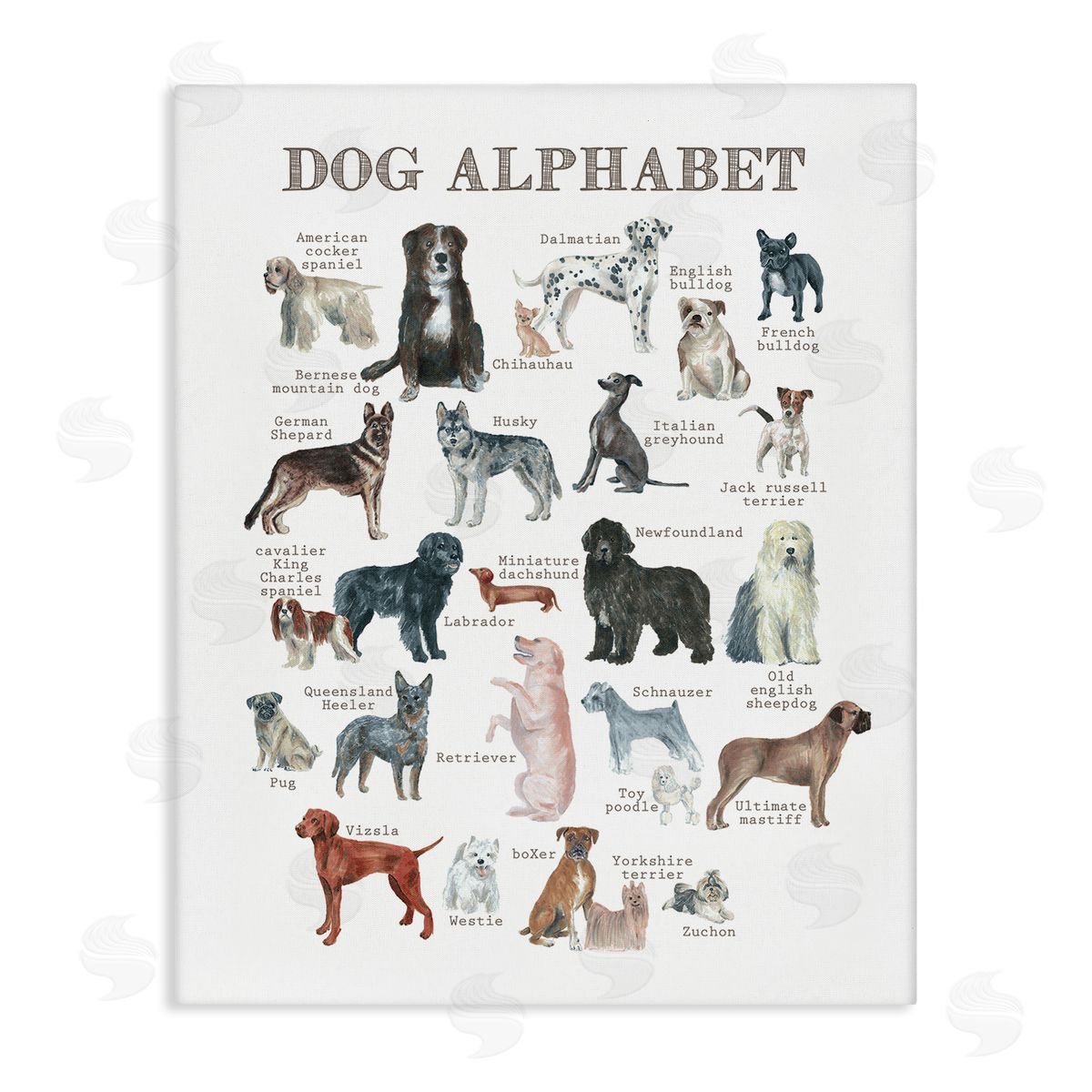Dishique Dog Alphabet Multiple Breeds Educational Animals Chart Stretched Canvas Wall Art Print