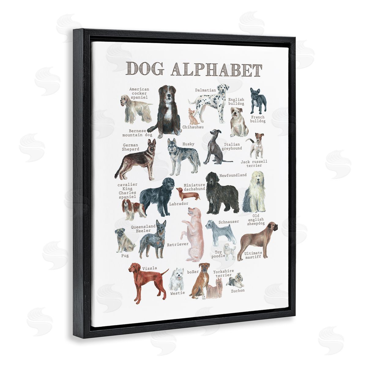 Dishique Dog Alphabet Multiple Breeds Educational Animals Chart Black Floating Frame Canvas Wall Art Print