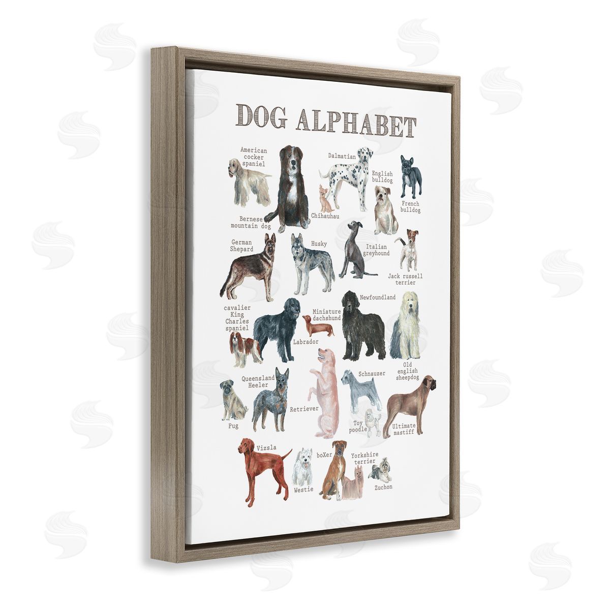 Dishique Dog Alphabet Multiple Breeds Educational Animals Chart Brown Floating Frame Canvas Wall Art Print