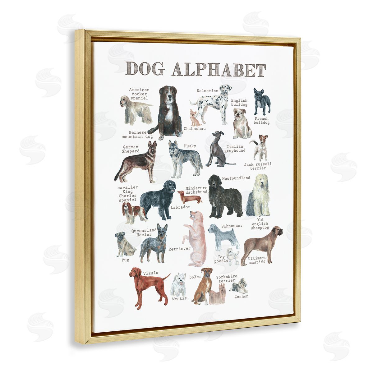 Dishique Dog Alphabet Multiple Breeds Educational Animals Chart Gold Floating Frame Canvas Wall Art Print