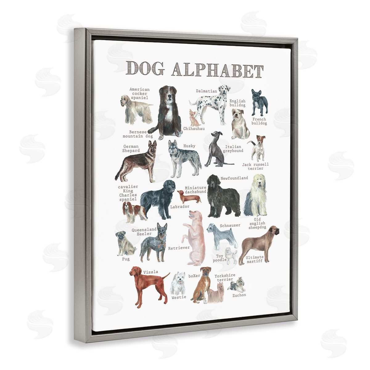 Dishique Dog Alphabet Multiple Breeds Educational Animals Chart Gray Floating Frame Canvas Wall Art Print