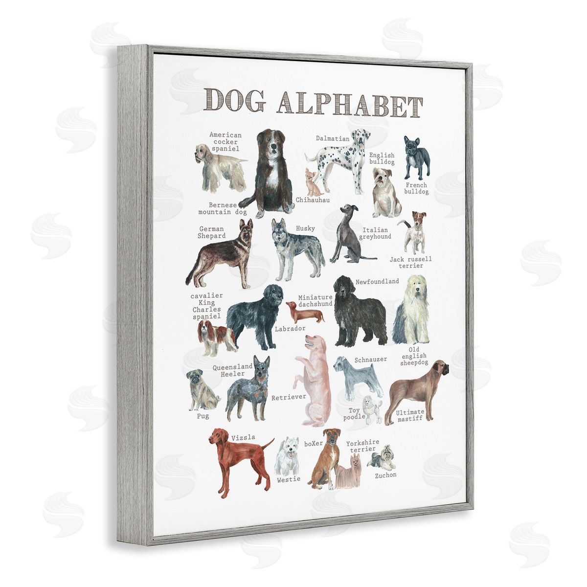 Dishique Dog Alphabet Multiple Breeds Educational Animals Chart Gray Framed Giclee Wall Art Print