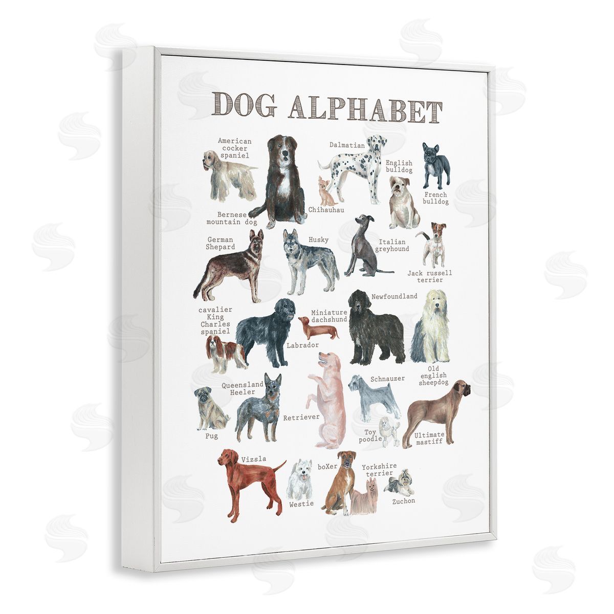 Dishique Dog Alphabet Multiple Breeds Educational Animals Chart White Framed Giclee Wall Art Print