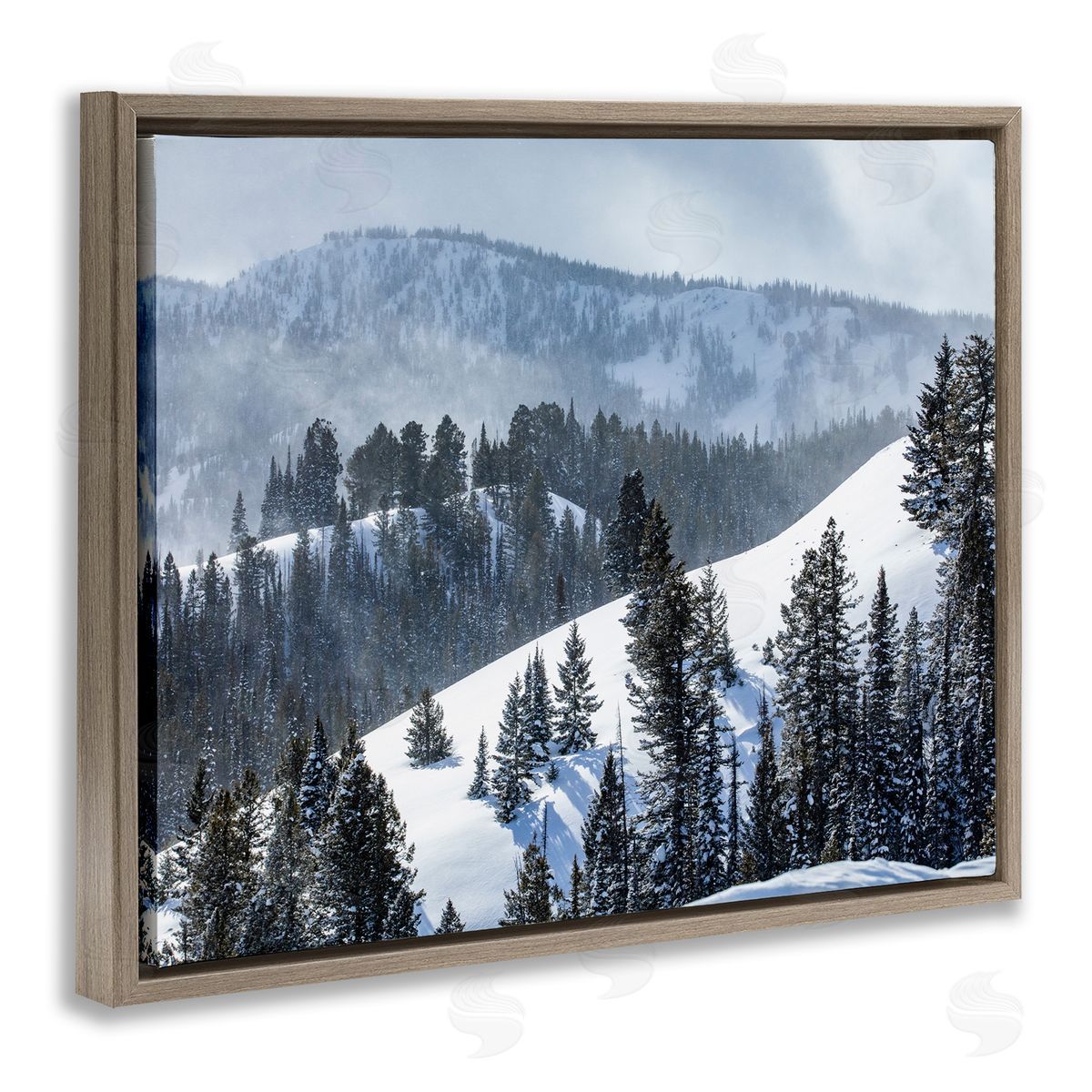 Steve Smith Quiet Snowy Mountain Slopes Scattered Fir Trees Brown Floating Frame Canvas Wall Art Print