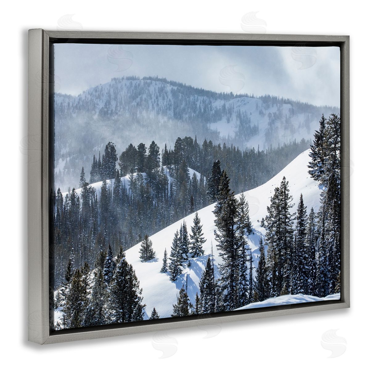 Steve Smith Quiet Snowy Mountain Slopes Scattered Fir Trees Gray Floating Frame Canvas Wall Art Print