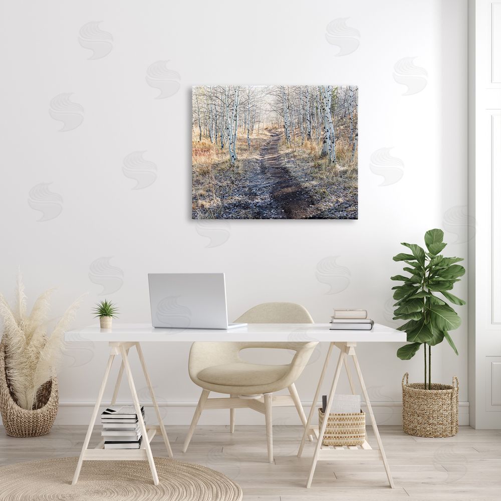 Steve Smith Dirt Path Between Birch Tree Forest Woodland Scene Canvas Wall Art Print in Room