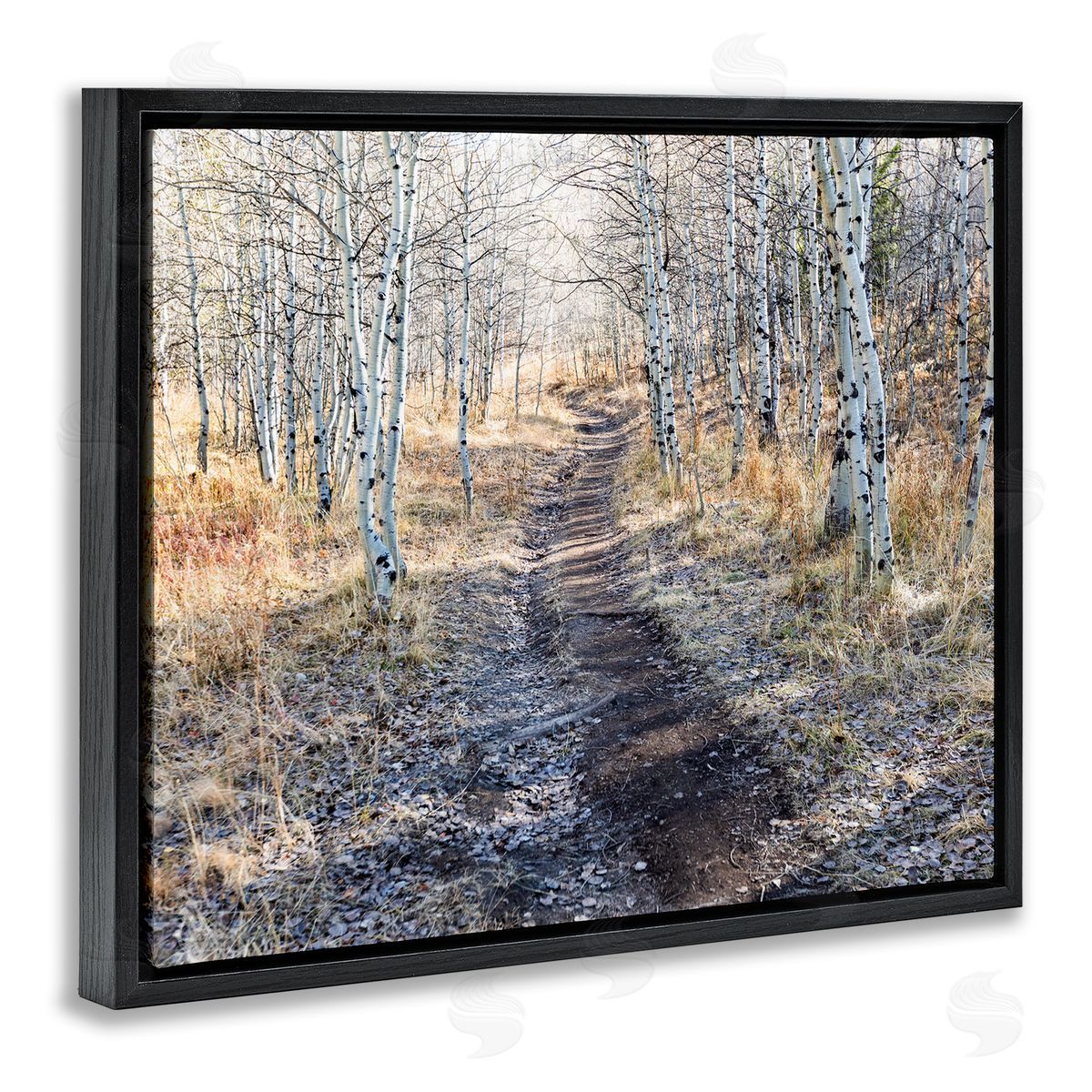 Steve Smith Dirt Path Between Birch Tree Forest Woodland Scene Black Floating Frame Canvas Wall Art Print